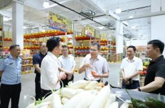 云霄县县长带队调研食物平安工做